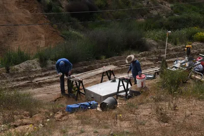 DSC_5130 (Large).JPG